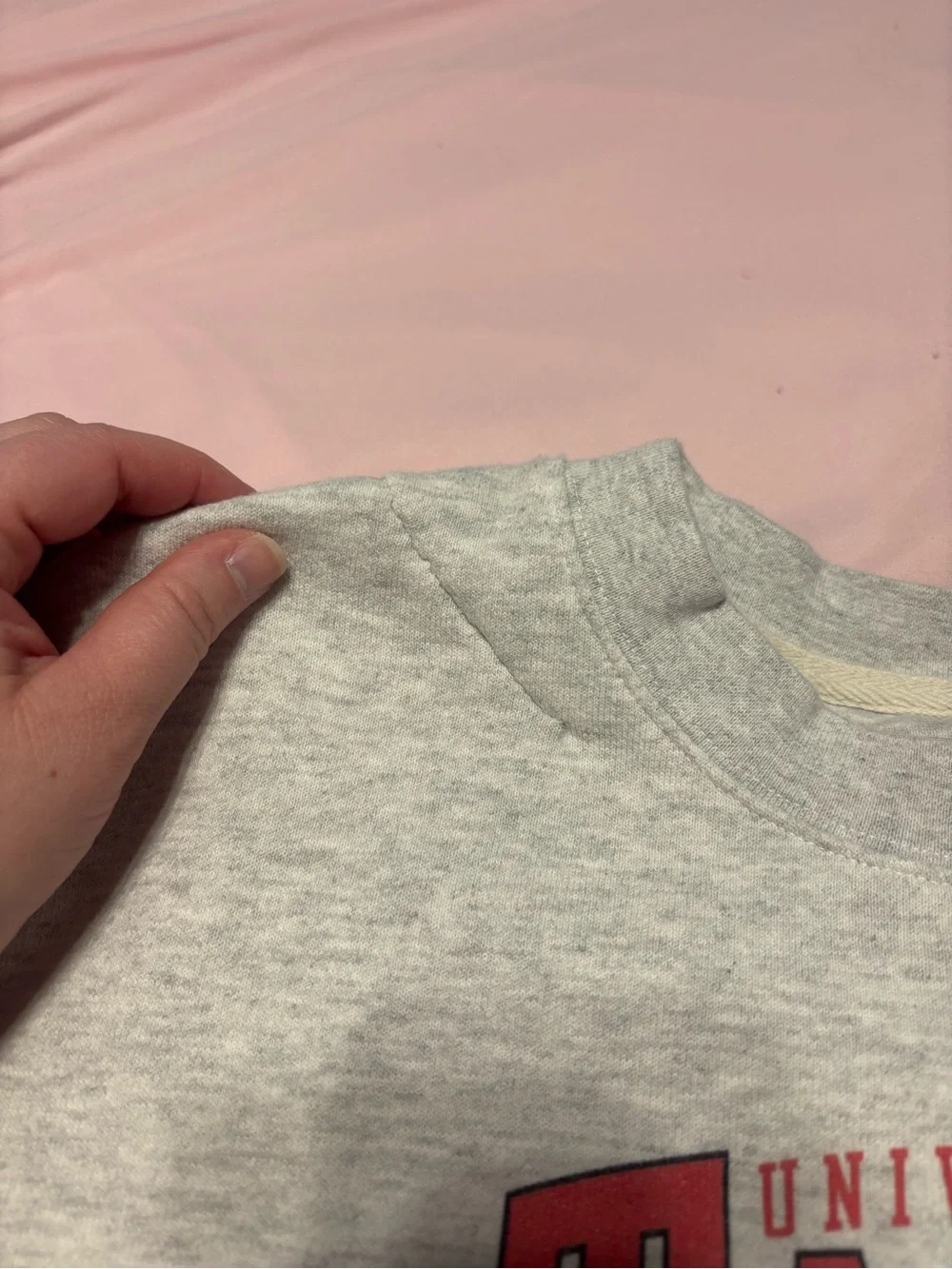 Gray Crewneck Sweatshirt with Red Logo